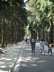 松島にある瑞厳寺(だったかな？)に続く杉林