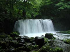 少し入ったところにある九段の滝。観光客も多い