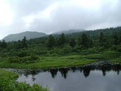 中央が八甲田山